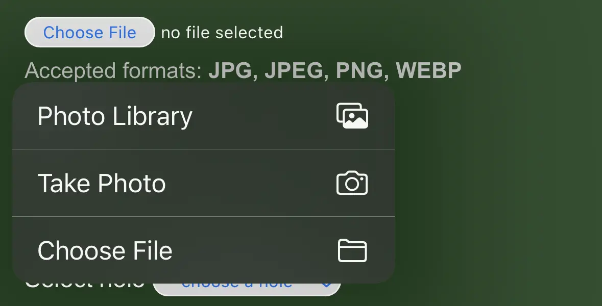 Choose file / take photo dialog (picture 5)